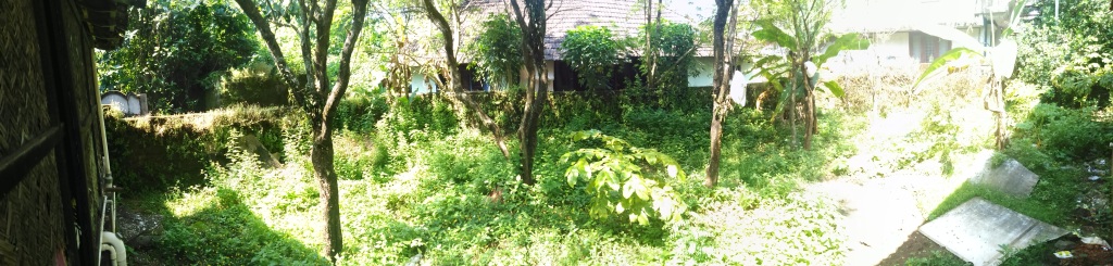 A panoramic view of the kitchen backyard