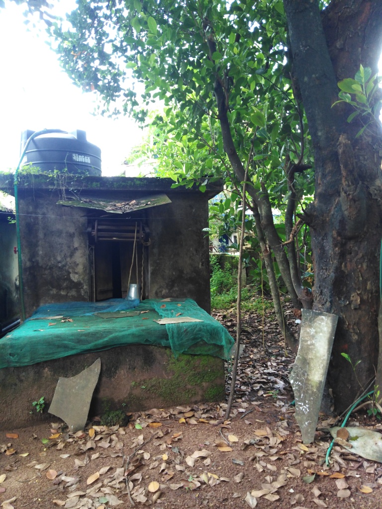 The bathroom, which has a small window opening unto the well. A jackfruit tree stands tall next to it.